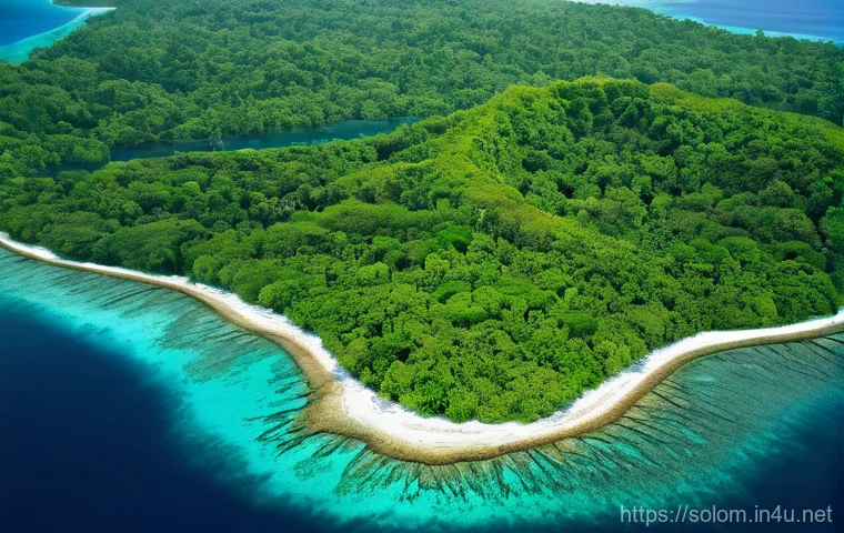 솔로몬 제도 삼림 벌채 문제 - **Image Prompt: Pristine Coastline Meeting a Scarred Landscape**
A breathtaking aerial shot of t...