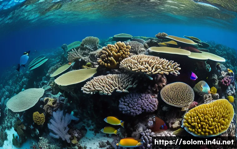 솔로몬 제도 환경 문제 관련 이미지 1