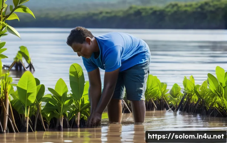 솔로몬 제도 환경 문제 관련 이미지 2